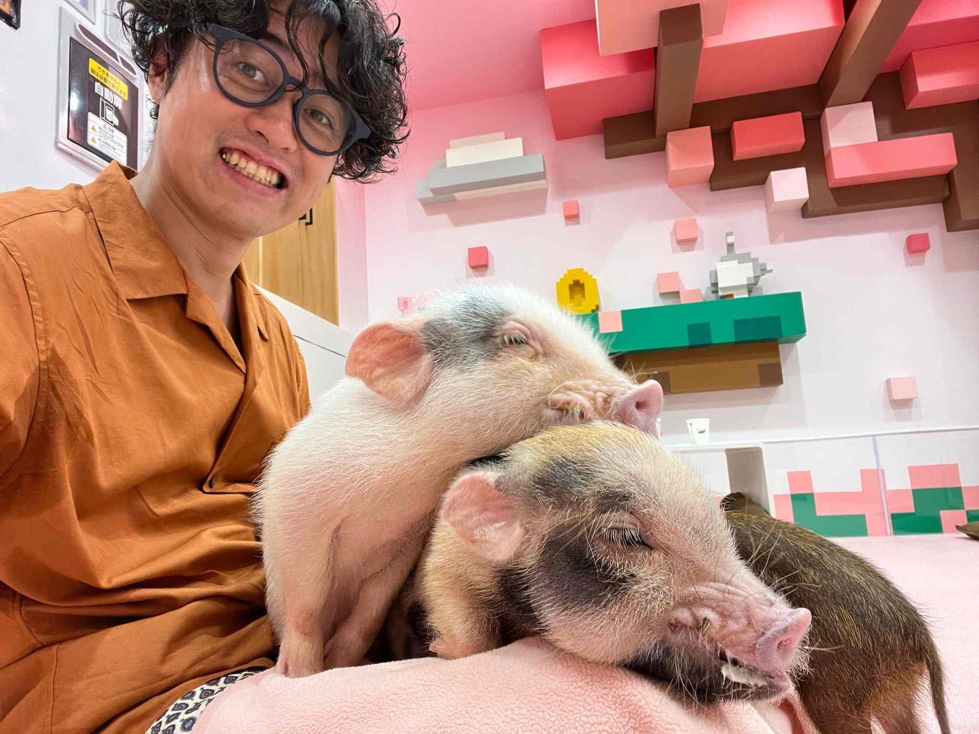 A smiling guest holding two sleepy micro pigs at a Harajuku café